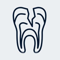 Endodontists Endodontists