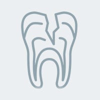 Endodontists